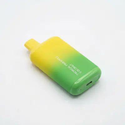 Elf Bar GH23000